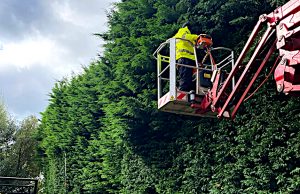 Hedge-Shaping