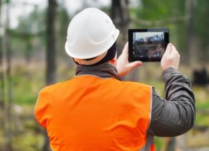 Tree Reports and Surveys