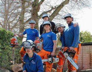 Sussex-Tree-Specialists_Team