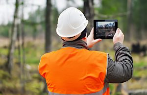 Tree reports and Surveys