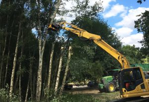 You are here Home » Tree Services » Crown Reduction and Crown Thinning Crown Reduction and Crown Thinning