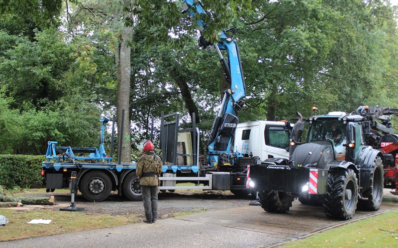 Sussex_Tree_Specialists_Commercial_Tree_Surgery